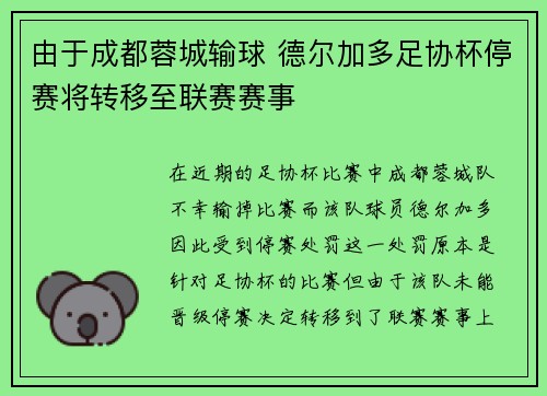 由于成都蓉城输球 德尔加多足协杯停赛将转移至联赛赛事
